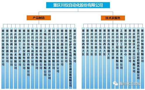 重庆川仪新产品新技术交流会圆满落幕，业界同仁共话技术创新与未来趋势