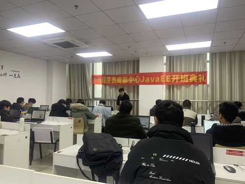 黑马程序员技术交流社区 技术进阶的桥梁与栖息地